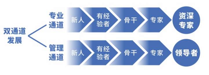 人才培养计划2.jpg