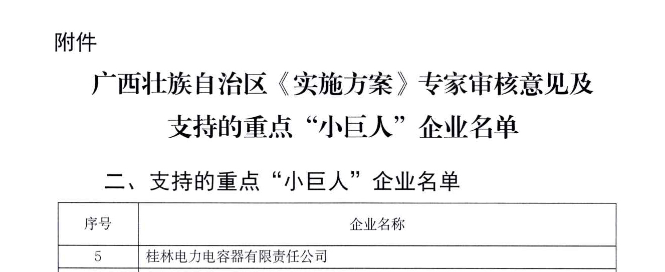 19、重点“小巨人”认定文件_02.jpg